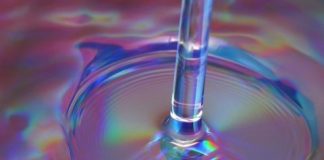 Study: A new candidate gene discovered in a tropical fish — (Details)