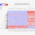 Study: Observing the mechanism of metastasis for the first time — (Details)