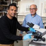 Study: Scientists identify genetic characteristics of fetal stem cells that may lead to breast cancer later in life — (Details)