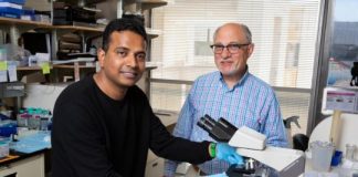 Study: Scientists identify genetic characteristics of fetal stem cells that may lead to breast cancer later in life — (Details)