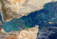 Research: Expedition probes ocean’s smallest organisms for climate answers —