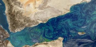 Research: Expedition probes ocean’s smallest organisms for climate answers —