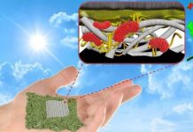 Tech: Proposed design is easy to produce, low-cost, flexible and more efficient than previously proposed paper-based batteries — (Report)