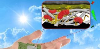 Tech: Proposed design is easy to produce, low-cost, flexible and more efficient than previously proposed paper-based batteries — (Report)