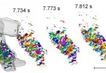 Tech: Fastest 3-D tomographic images at BESSY II — (Report)