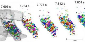 Tech: Fastest 3-D tomographic images at BESSY II — (Report)