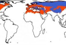 Research: For the first time, scientists are putting extinct mammals on the map —