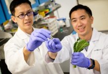 Tech: Fat-blocking effect of nanofibers discovered — (Report)