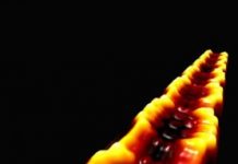 Tech: ‘Topological’ graphene nanoribbons trap electrons for new quantum materials — (Report)