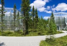 Research: Hotter temperatures extend growing season for peatland plants —