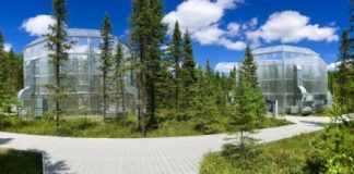 Research: Hotter temperatures extend growing season for peatland plants —