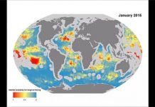 Research: Fourteen variables predict month-by-month locations of longline fleets —