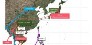 Research: Prehistoric peopling in southeast Asia — genomics of Jomon and other ancient skeletons —