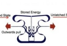 Tech: Scientists design material that can store energy like an eagle’s grip — (Report)