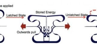 Tech: Scientists design material that can store energy like an eagle’s grip — (Report)