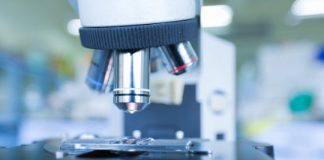 Research: In apoptosis, cell death spreads through perpetuating waves —