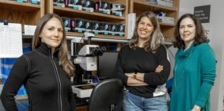 Study: Ebola virus experts discover powerful, new approach for future therapeutics — (Details)