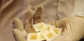 Research: Wearable ‘microbrewery’ saves human body from radiation damage —