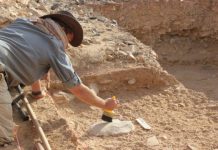 Research: Laziness helped lead to extinction of Homo erectus —