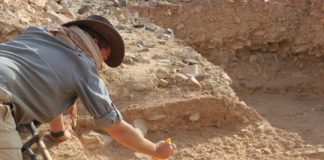 Research: Laziness helped lead to extinction of Homo erectus —