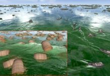 Research: Method bridges gap between efficient computing and realistic water wave simulations Novel artistic tools simplify and extend capabilities for game and movie effects —