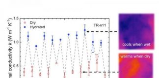 Research: Thermal switch discovered in engineered squid-based biomaterials —
