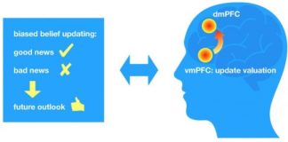 Study: Proposed neural circuit may underlie motivation to cling to desirable notions about the future — (Details)
