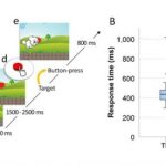 Study: Potential biomarker for autism in infancy — (Details)