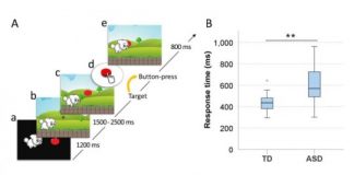 Study: Potential biomarker for autism in infancy — (Details)