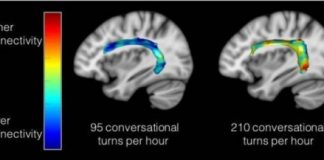 Study: Study suggests talking with children from early age could promote language skills regardless of socioeconomic status — (Details)