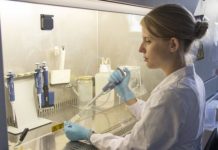 Tech: Artificial placenta created in the laboratory — (Report)