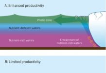 Research: Study shows complex connection between meltwater discharge and nutrient input —