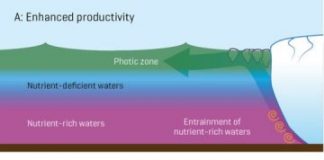 Research: Study shows complex connection between meltwater discharge and nutrient input —