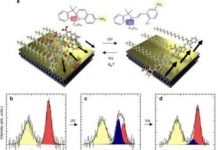Tech: Flipping the switch on supramolecular electronics — (Report)