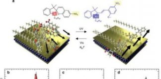 Tech: Flipping the switch on supramolecular electronics — (Report)