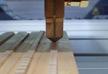 Research: Wood density of European trees decreasing continuously since 1870 —