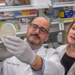 Study: Magnetic gene in fish may someday help those with epilepsy, Parkinson’s — (Details)