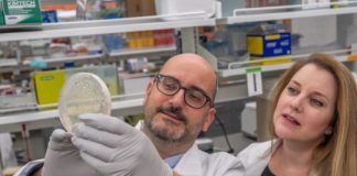 Study: Magnetic gene in fish may someday help those with epilepsy, Parkinson’s — (Details)