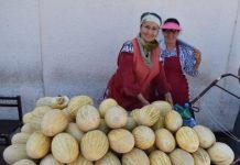Research: New research reveals that many of the most familiar fruits in our kitchens today were cultivated in Central Asia over a millennium ago —