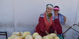 Research: New research reveals that many of the most familiar fruits in our kitchens today were cultivated in Central Asia over a millennium ago —