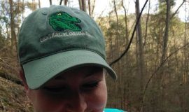 Research: Scientists get new tool to track new pathogen killing frogs —