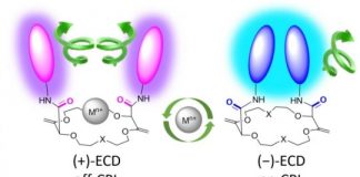 Tech: Researchers from UNIGE have developed a new type of chemical sensor capable of detecting the presence of metals in the environment — (Report)