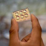 Study: Multidisciplinary study finds way to examine biofilms with high efficiency — (Details)