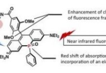 Research: a near infrared fluorescent dye for long term bioimaging —