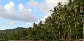 Research: Apathy towards poachers widespread in world’s marine protected areas —