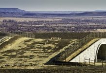 Research: Pronghorn responses to wildlife road-crossing structures and fencing can inform similar solutions for other migratory wildlife threatened by vehicle collisions —