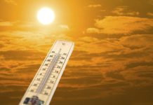 Research: Next 5 years predicted to be abnormally hot —