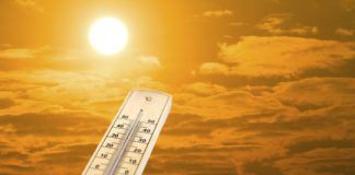 Research: Next 5 years predicted to be abnormally hot —