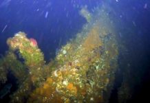 Research: Stern of World War II US destroyer discovered off remote Alaskan island —