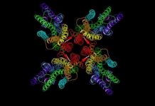 Research: Structure of ion channel reveals how insects smell their way around the world —